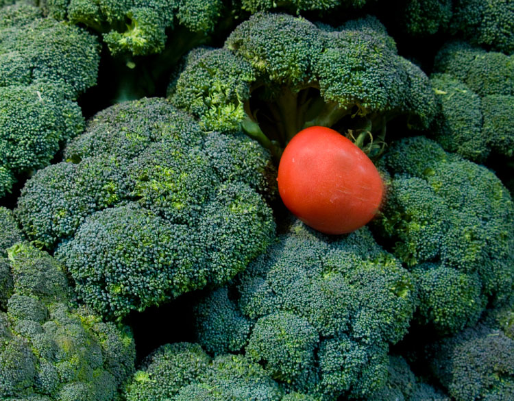 Broccoli1 copy